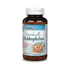 Lactobacillus Acidophilus